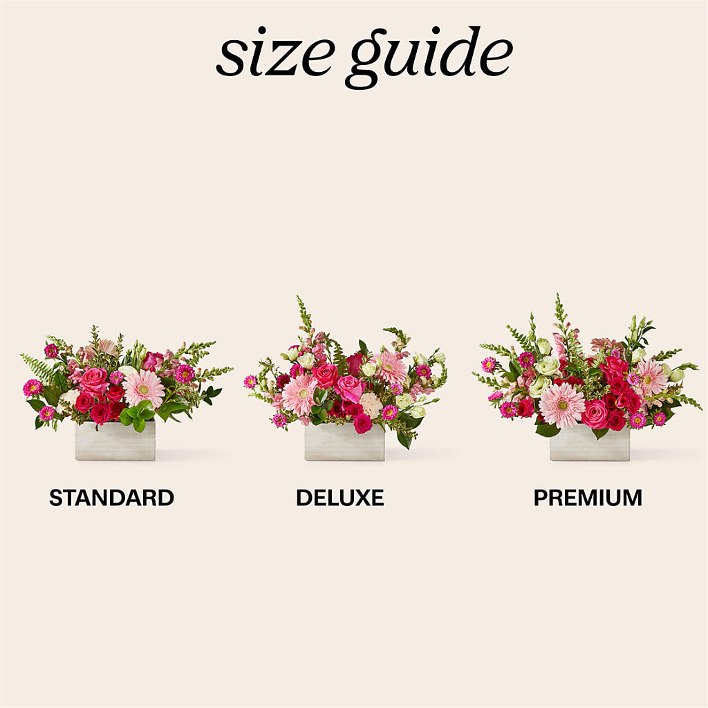 Too Cute Bouquet – Park Lake Flowers, Mc Gregor TX
