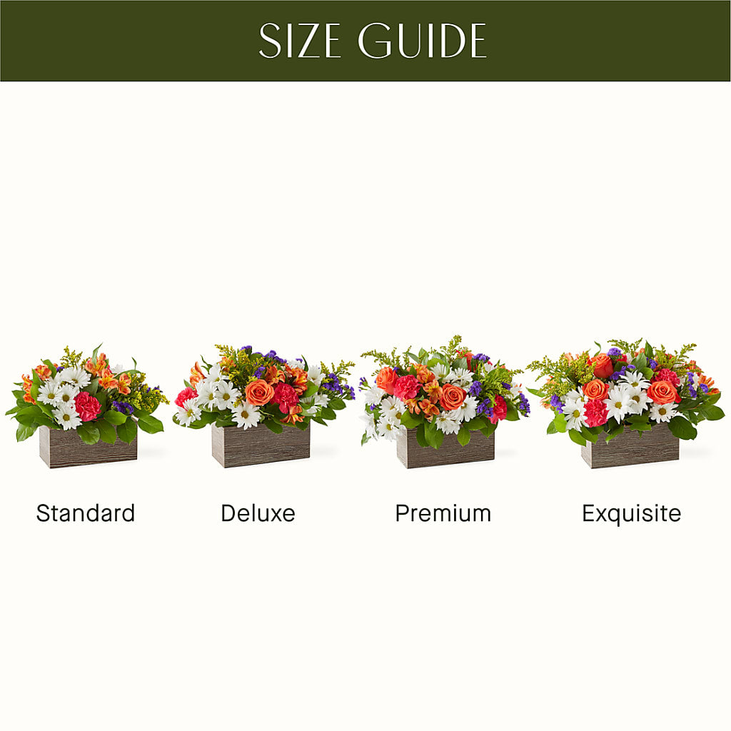 Oopsie Daisy Box Bouquet – Park Lake Flowers, Mc Gregor TX