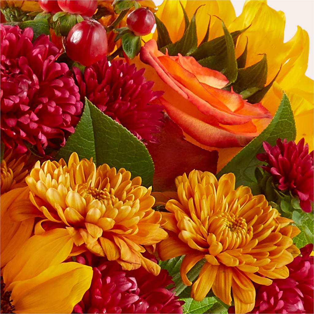 Sweater Season - A Florist Original – Park Lake Flowers, Mc Gregor TX