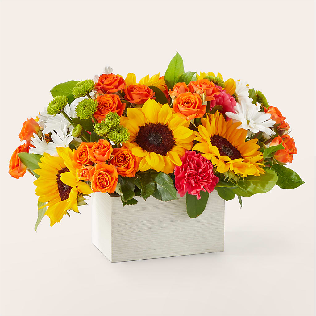 Sun-drenched Blooms Box Bouquet – Park Lake Flowers, Mc Gregor TX
