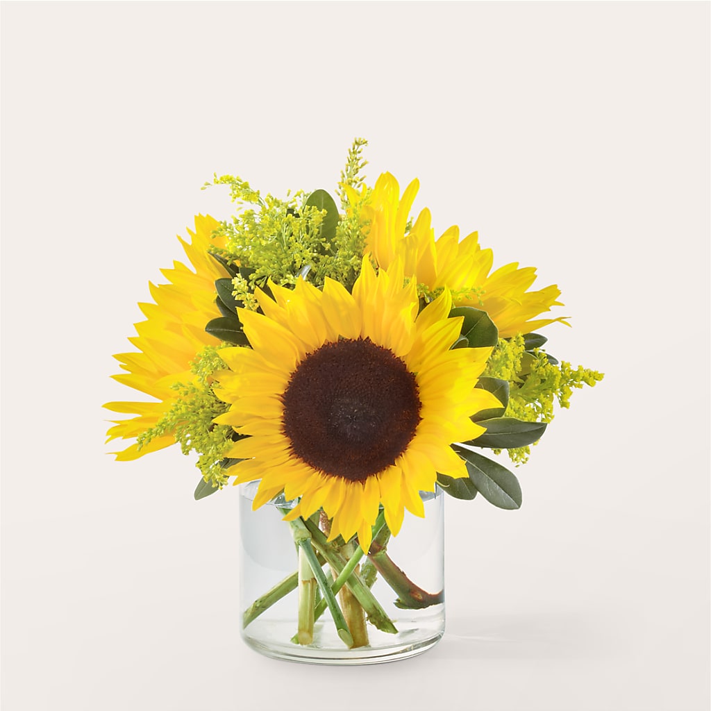 Beaming Sunflower Bouquet – Park Lake Flowers, Mc Gregor TX
