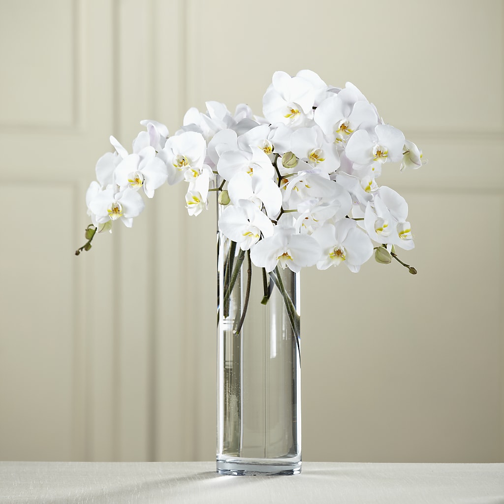 White Phalaenopsis Bouquet – Park Lake Flowers, Mc Gregor TX