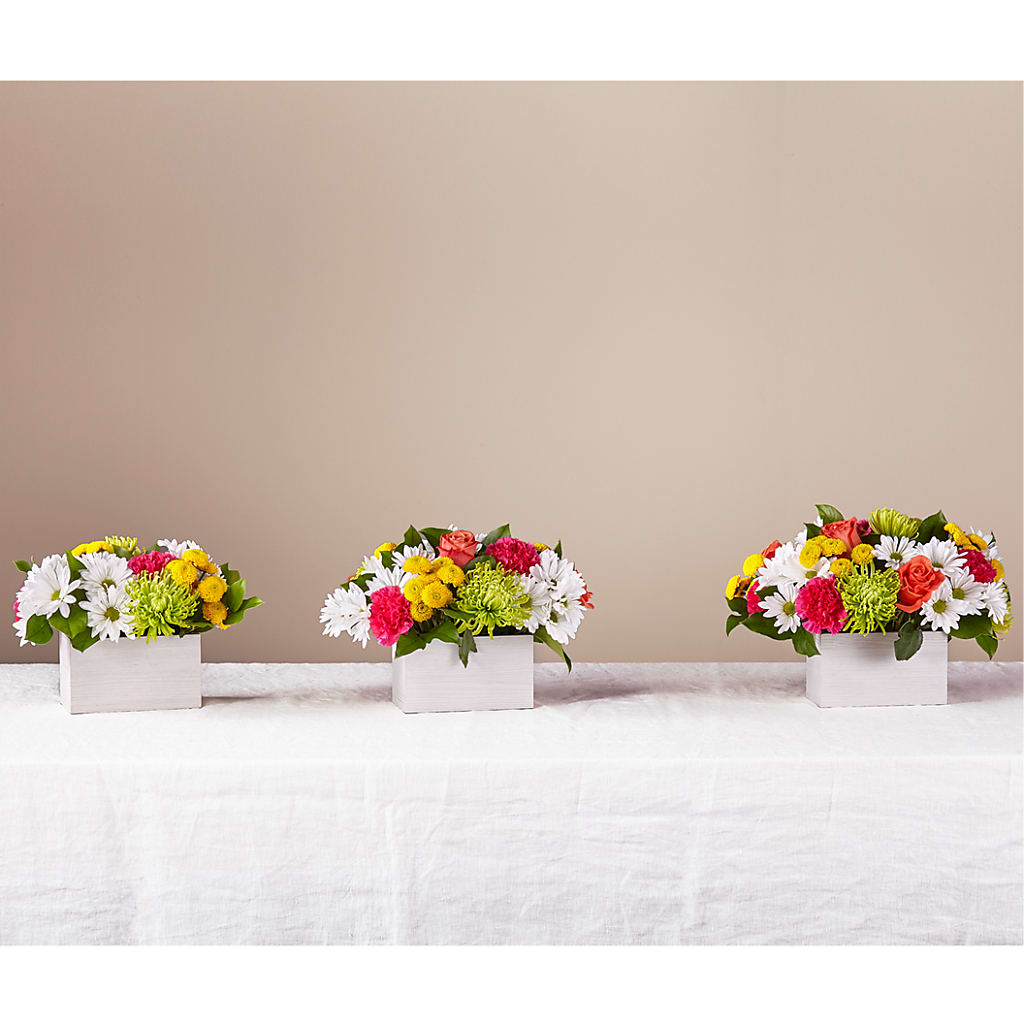 Sorbet Bouquet –  Park Lake Flowers, Mc Gregor TX