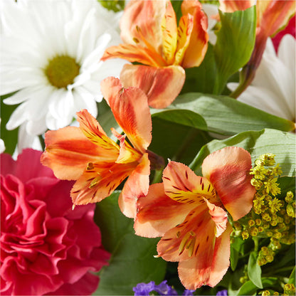 Oopsie Daisy Box Bouquet –  Park Lake Flowers, Mc Gregor TX