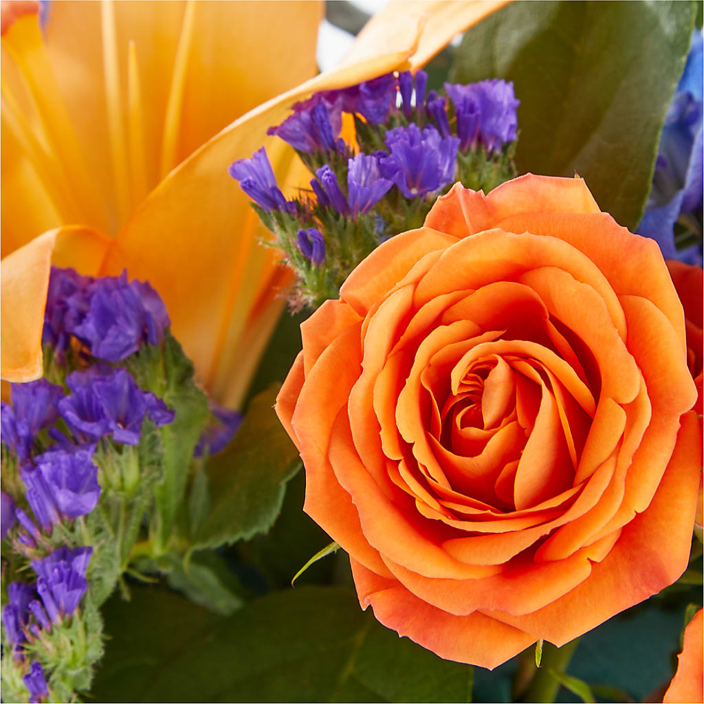 Radiant Citrus Box Bouquet –  Park Lake Flowers, Mc Gregor TX