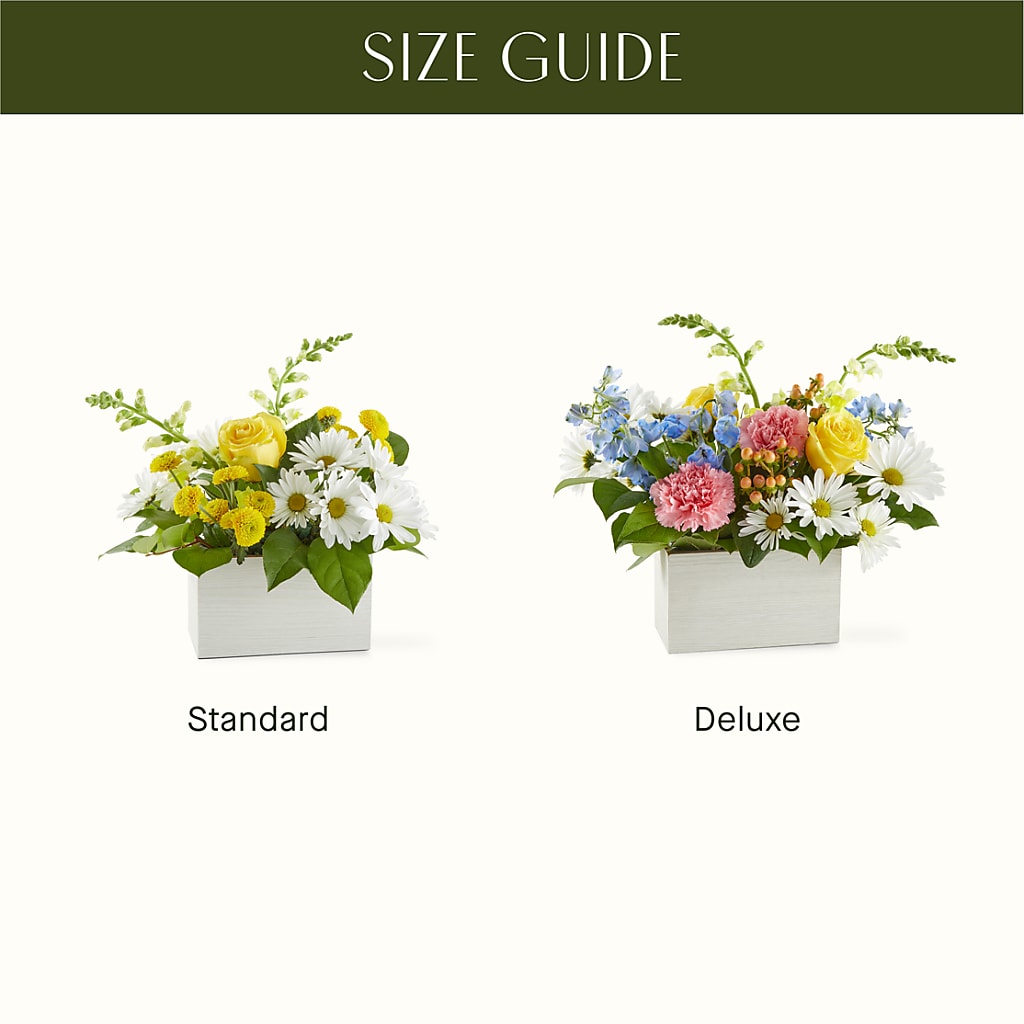 Sun Salutation Box Bouquet –  Park Lake Flowers, Mc Gregor TX