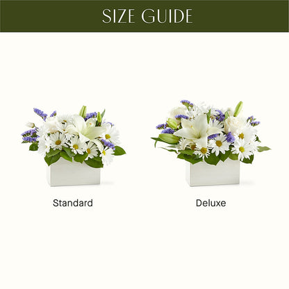 Beyond Blue Box Bouquet –  Park Lake Flowers, Mc Gregor TX
