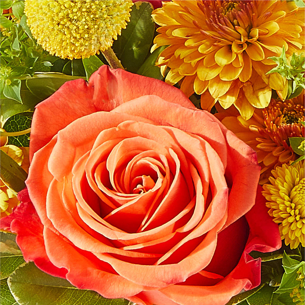 Gourdgeous Pumpkin –  Park Lake Flowers, Mc Gregor TX