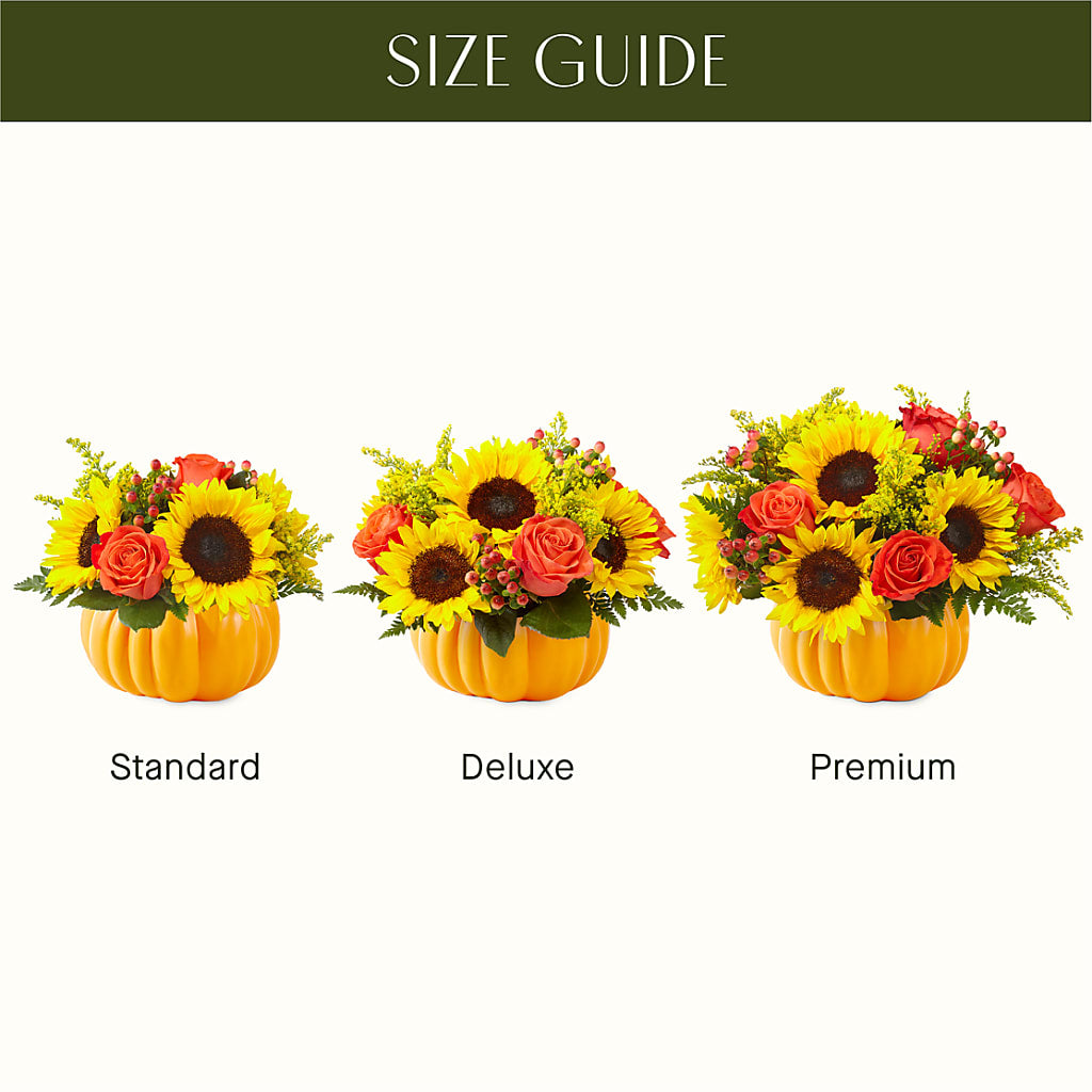 Pick of the Patch Pumpkin Bouquet –  Park Lake Flowers, Mc Gregor TX