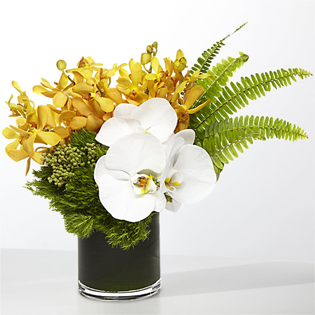 The Tropics –  Park Lake Flowers, Mc Gregor TX