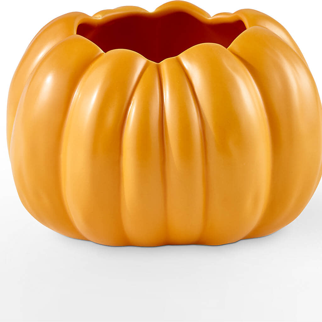 Golden Gourd Pumpkin Bouquet –  Park Lake Flowers, Mc Gregor TX