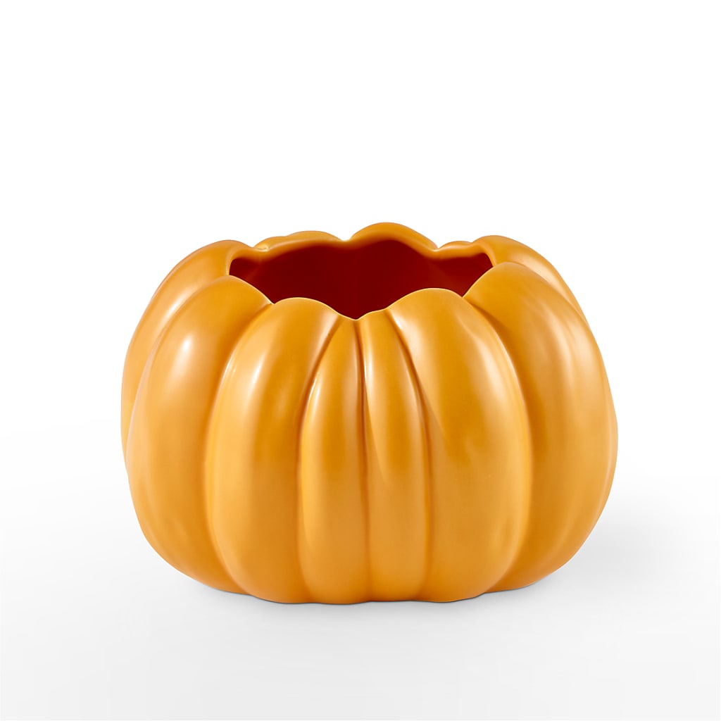 Pick of the Patch Pumpkin Bouquet –  Park Lake Flowers, Mc Gregor TX