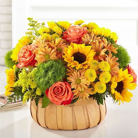 Harvest Sunflower Basket –  Park Lake Flowers, Mc Gregor TX