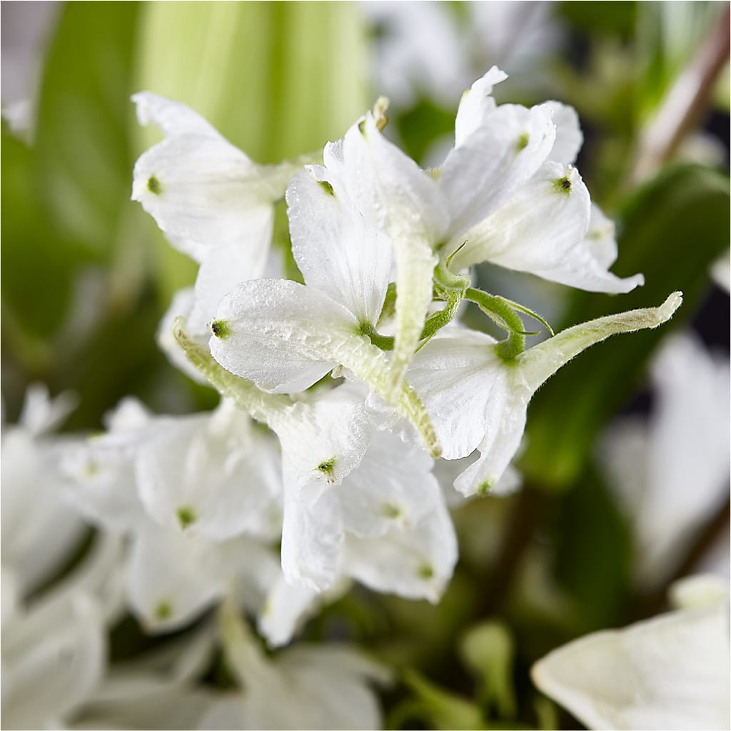 Classic Ivory – A Florist Original –  Park Lake Flowers, Mc Gregor TX