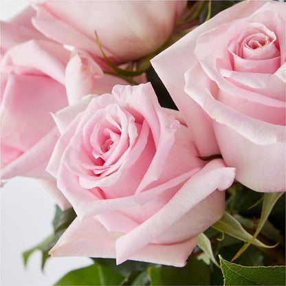 Picture Perfect Pink Rose Bouquet –  Park Lake Flowers, Mc Gregor TX