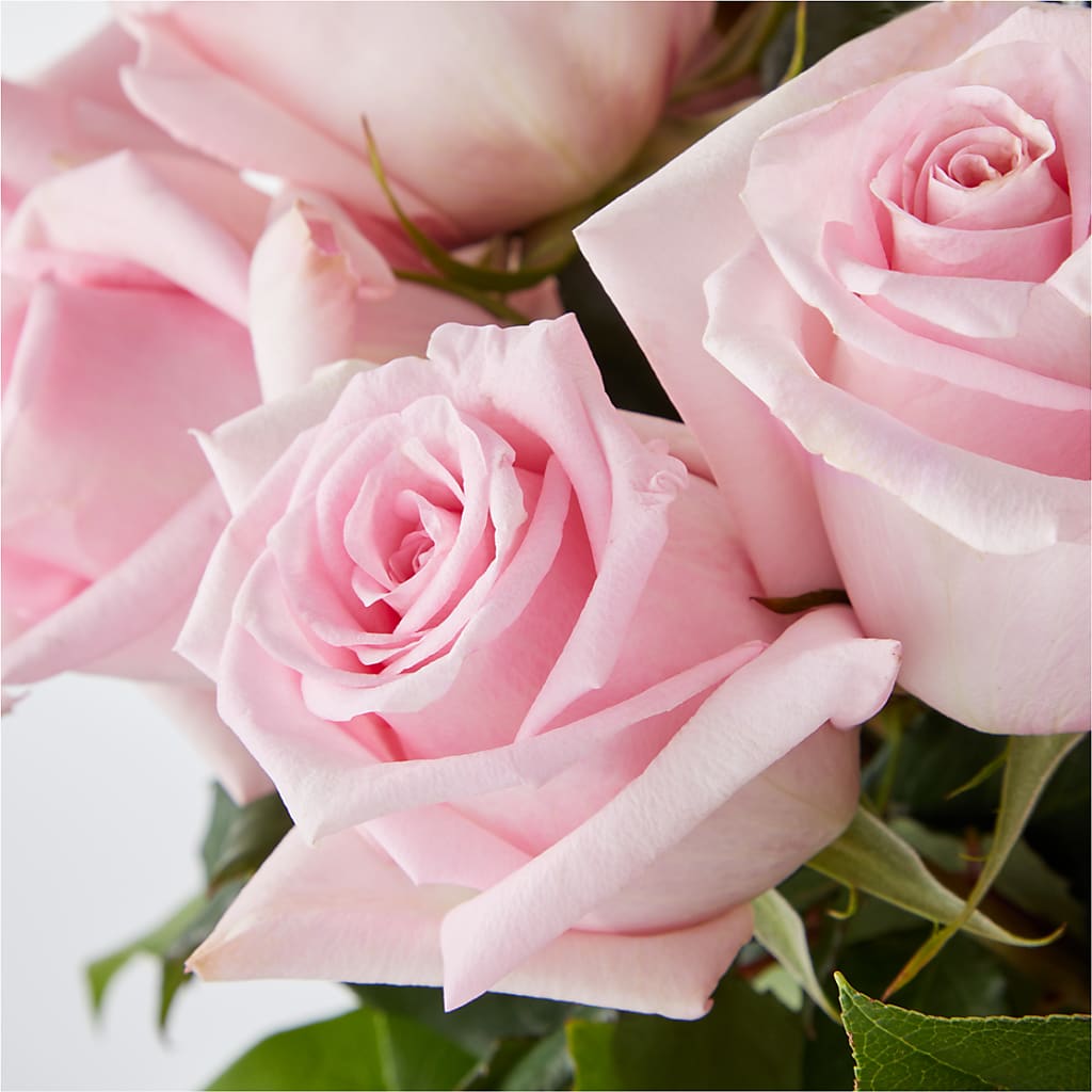 Picture Perfect Pink Rose Bouquet –  Park Lake Flowers, Mc Gregor TX