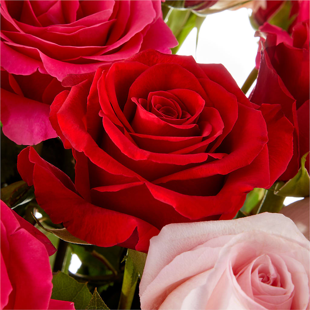 Love Notes Rose Bouquet –  Park Lake Flowers, Mc Gregor TX