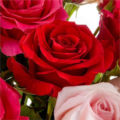 Love Notes Rose Bouquet –  Park Lake Flowers, Mc Gregor TX