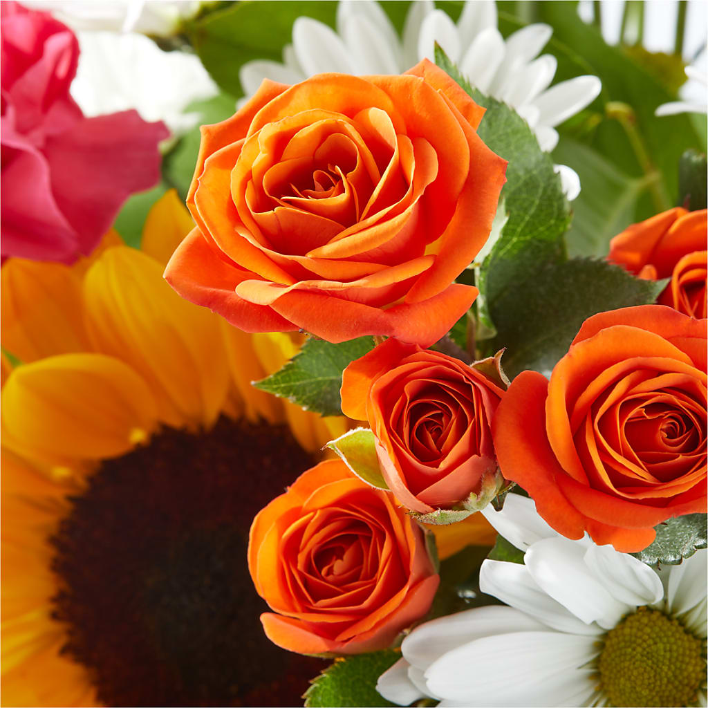 Sun-drenched Blooms Bouquet –  Park Lake Flowers, Mc Gregor TX