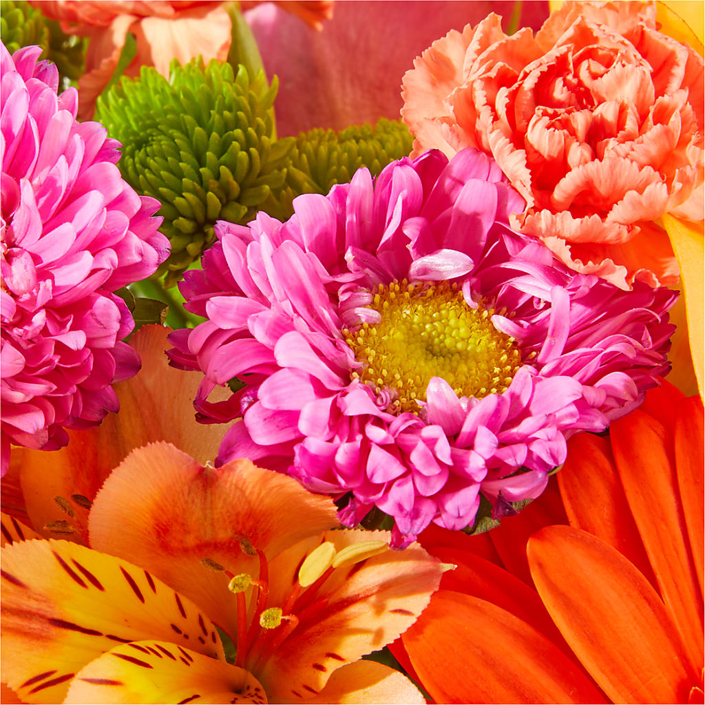 Soiree Bouquet –  Park Lake Flowers, Mc Gregor TX
