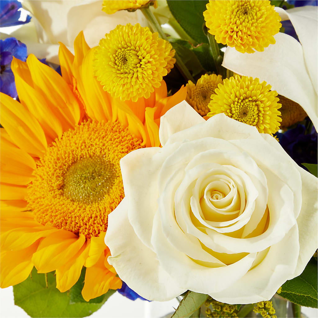 Stargazing Bouquet –  Park Lake Flowers, Mc Gregor TX