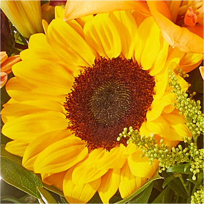 Seasons Change Bouquet –  Park Lake Flowers, Mc Gregor TX