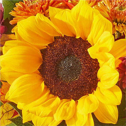 Sunny Side Bouquet –  Park Lake Flowers, Mc Gregor TX