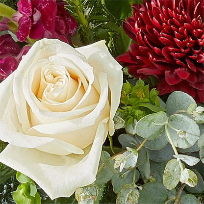 Cranberry Fizz Bouquet –  Park Lake Flowers, Mc Gregor TX
