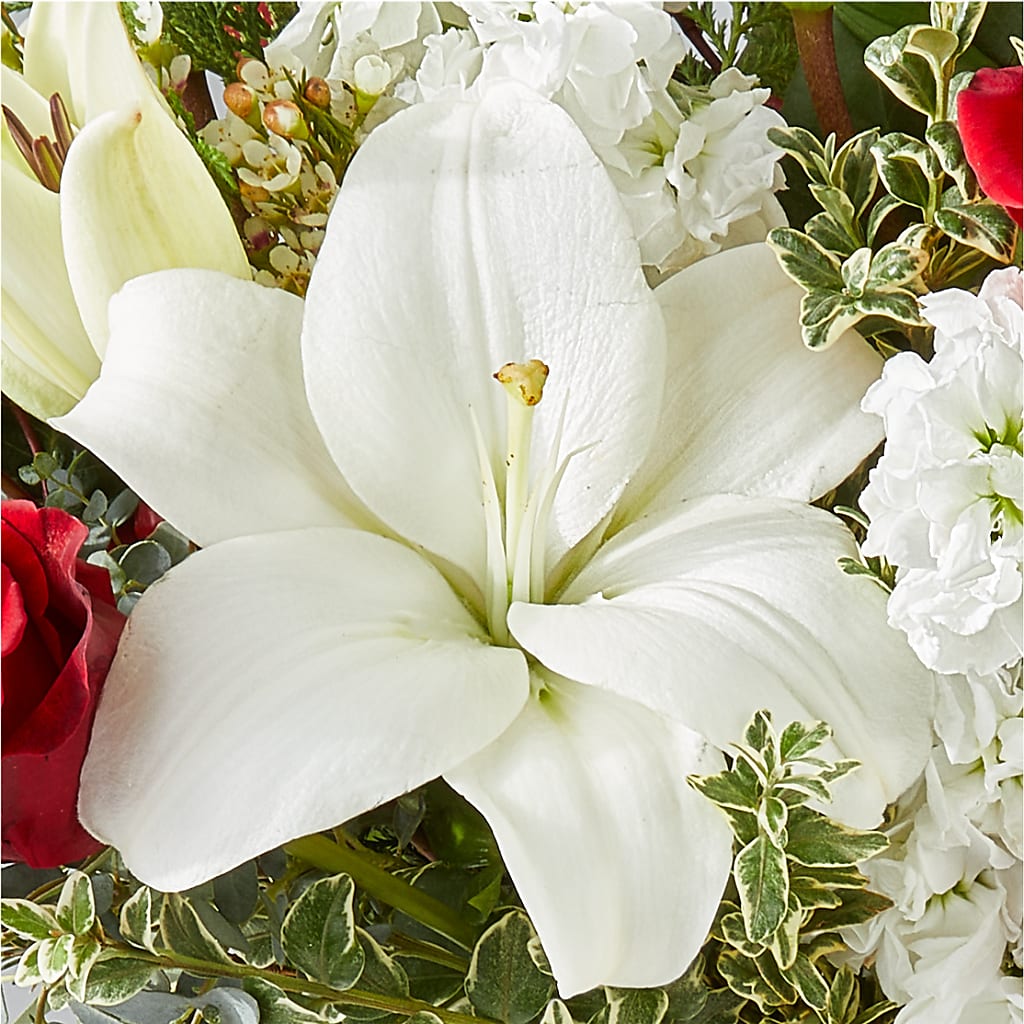 Twinkle Lights Bouquet –  Park Lake Flowers, Mc Gregor TX