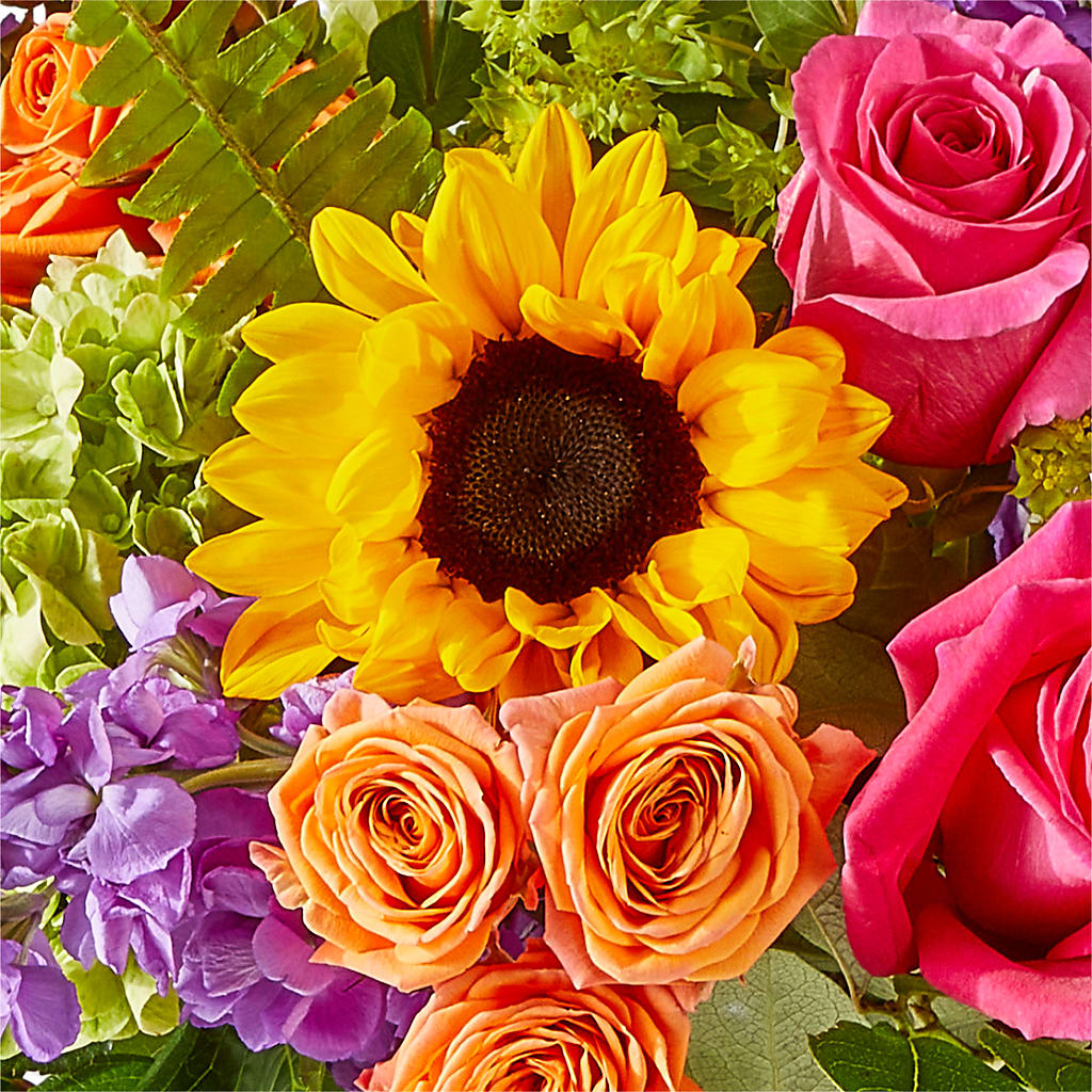 Vibrant Greetings Bouquet –  Park Lake Flowers, Mc Gregor TX