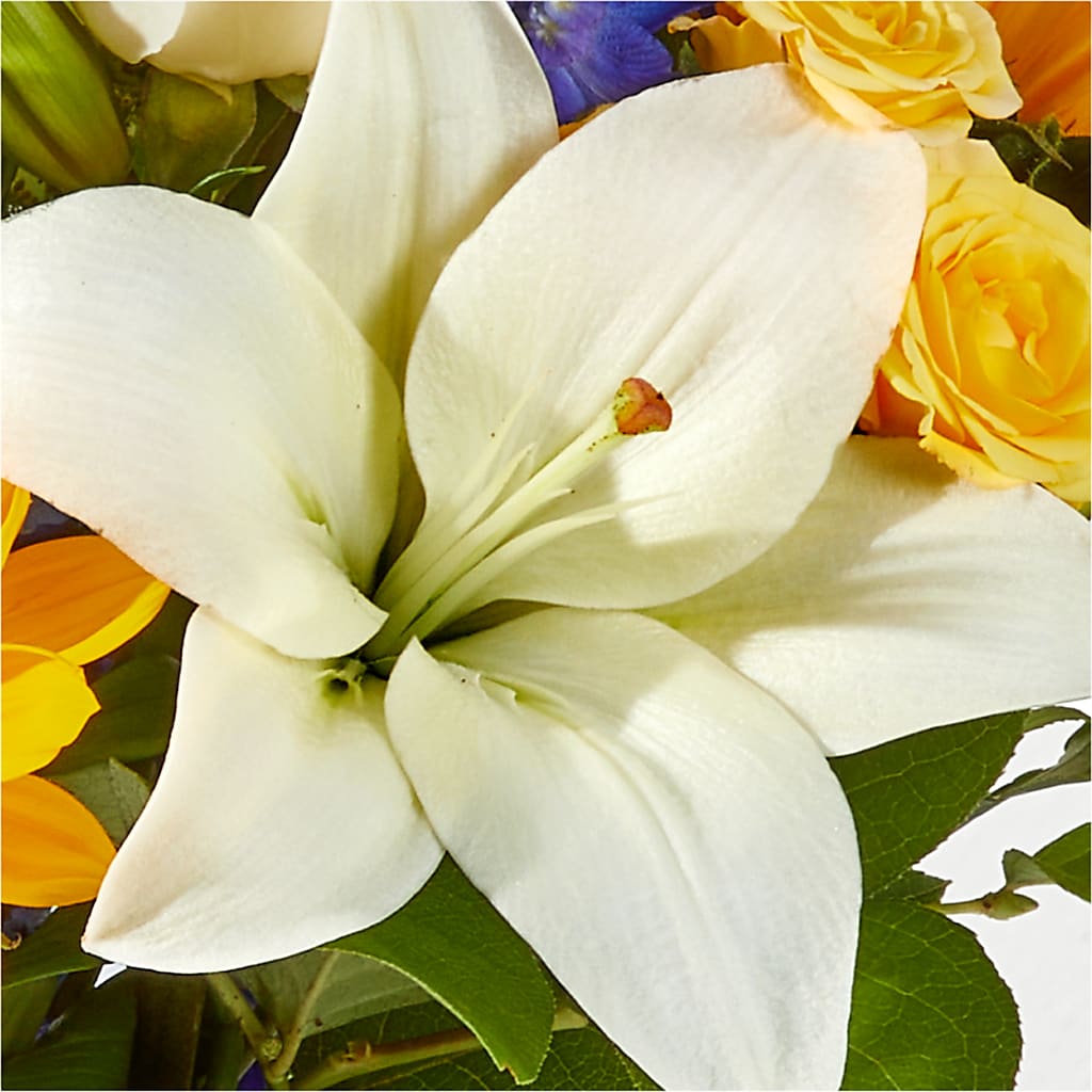 Wonderfully Sunny Bouquet –  Park Lake Flowers, Mc Gregor TX