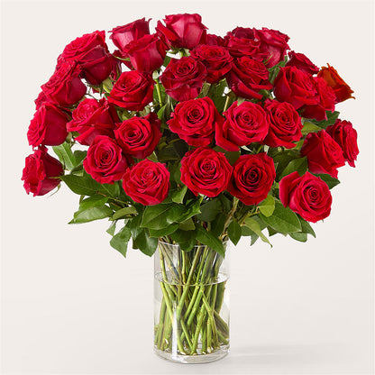 The One Red Rose Bouquet –  Park Lake Flowers, Mc Gregor TX