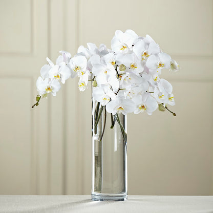 White Phalaenopsis Bouquet –  Park Lake Flowers, Mc Gregor TX